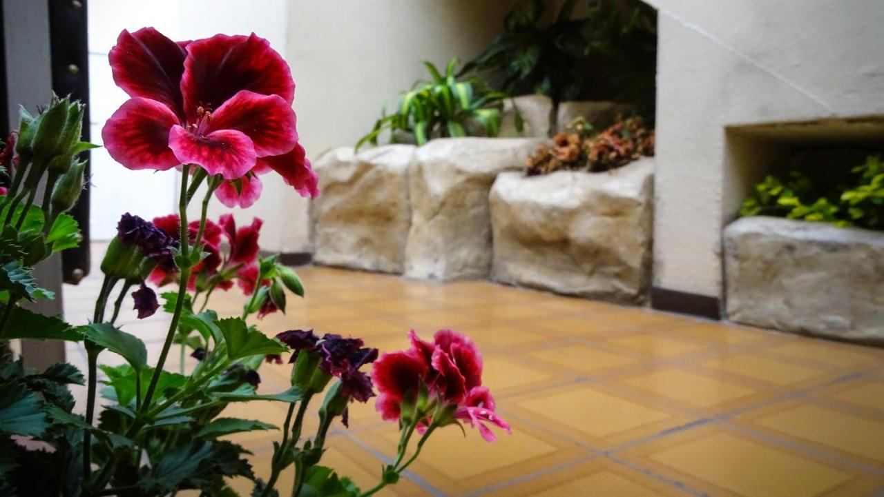 Hotel Mariscal Inn & Suite Cuenca Exterior foto